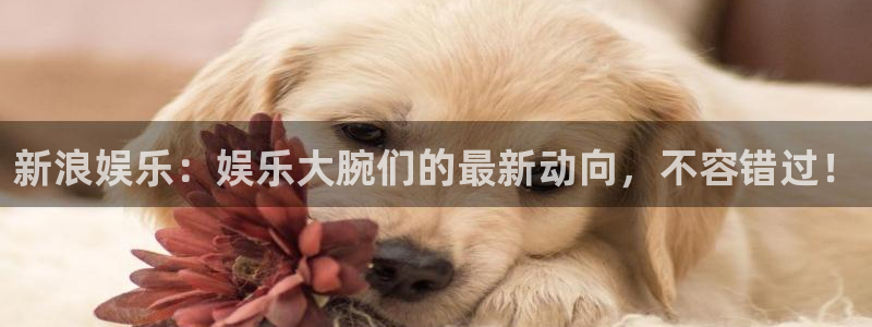 极悦平台app官网下载苹果