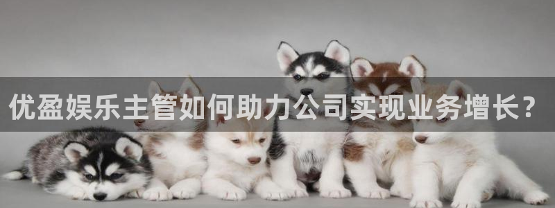 极悦平台官网版