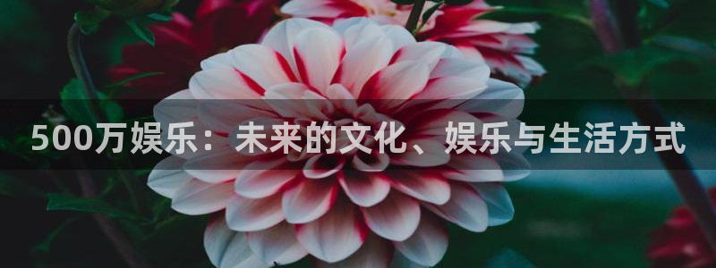 极悦平台app入口