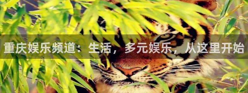 极悦平台注册网站链接