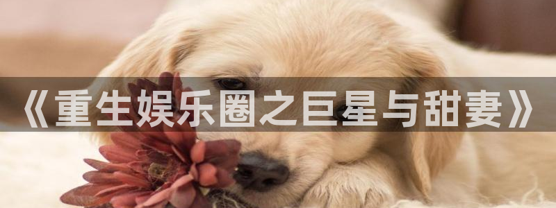 极悦平台app官网下载苹果