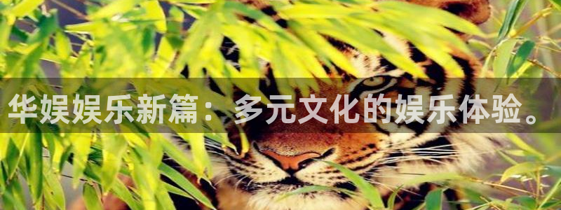 极悦平台.ccmpc登录：华娱娱乐新篇：多元文化的娱乐体验。