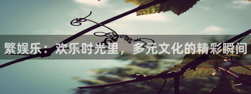 极悦平台平台官网入口：繁娱乐：欢乐时光里，多元文化的精彩瞬间