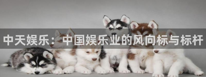 极悦平台pg：中天娱乐：中国娱乐业的风向标与标杆