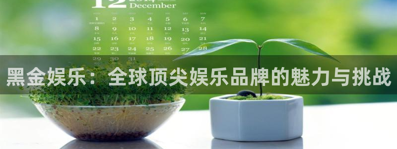 极悦平台官方网站下载：黑金娱乐：全球顶尖娱乐品牌的魅力与挑战