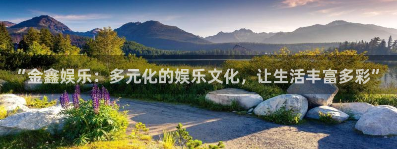 极悦平台是啥：“金鑫娱乐：多元化的娱乐文化，让生活丰富多彩”