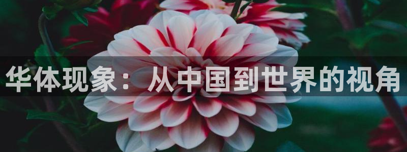 极悦平台是大平台吗：华体现象：从中国到世界的视角