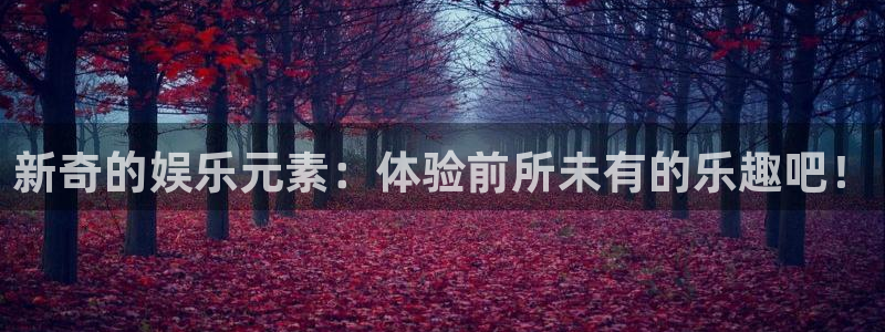 极悦平台注册链接入口：新奇的娱乐元素：体验前所未有的乐趣吧！