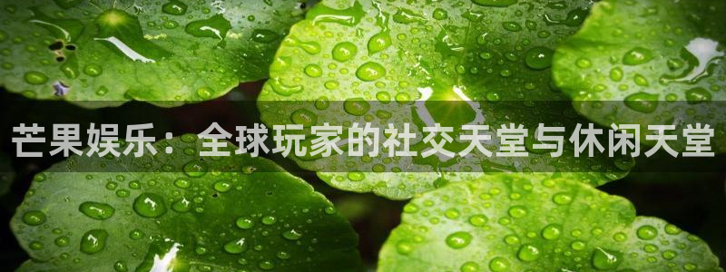 极悦平台网页版登：芒果娱乐：全球玩家的社交天堂与休闲天堂