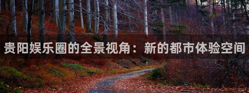 极悦平台预测在线预测：贵阳娱乐圈的全景视角：新的都市体验空间