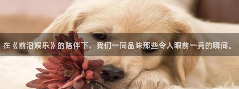 极悦平台平台登录：在《前沿娱乐》的陪伴下，我们一同品味那些令人眼前一亮的瞬间。