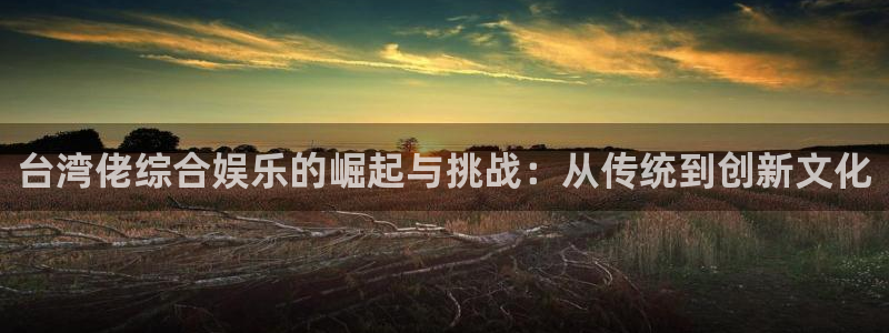 壹号平台娱乐：台湾佬综合娱乐的崛起与挑战：从传统到创新文化