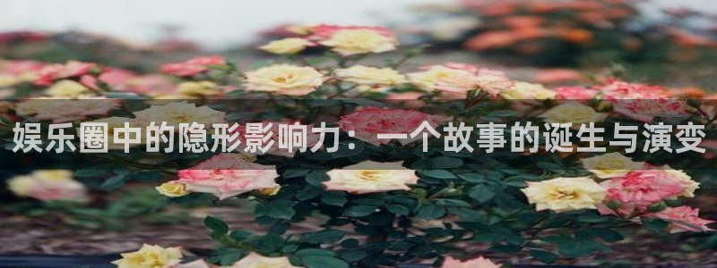 极悦平台平台：娱乐圈中的隐形影响力：一个故事的诞生与演变