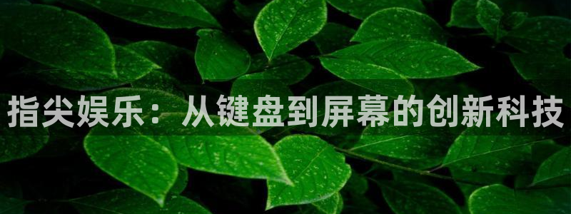极悦平台下载地址