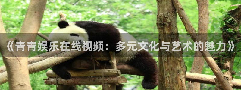 壹号大舞台