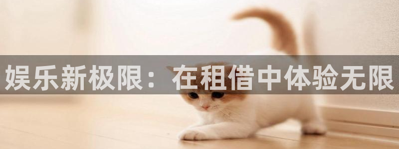 极悦平台：娱乐新极限：在租借中体验无限