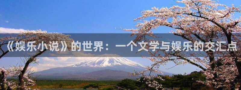 极悦平台免费注册：《娱乐小说》的世界：一个文学与娱乐的交汇点