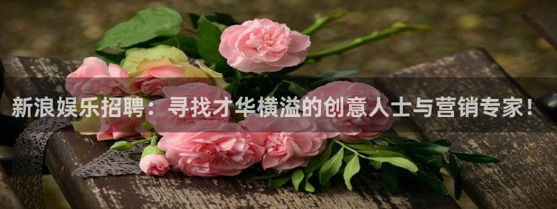 壹号大舞台娱乐app下载安装：新浪娱乐招聘：寻找才华横溢的创意人士与营销专家！