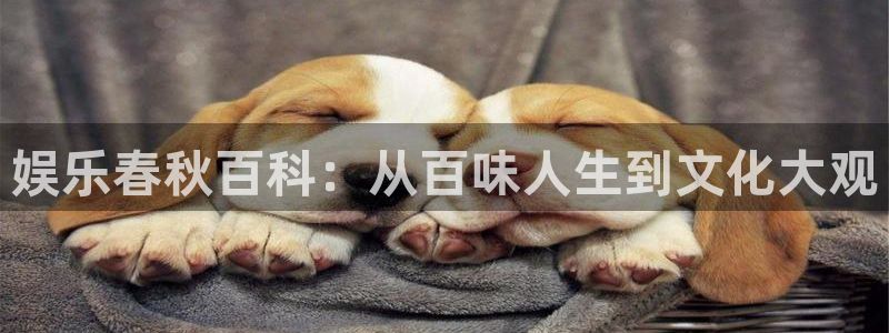 极悦平台app网页入口