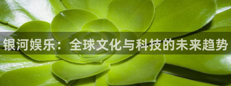 极悦平台账号注册入口：银河娱乐：全球文化与科技的未来趋势