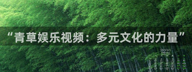 壹号大舞台,有梦你就来：“青草娱乐视频：多元文化的力量”